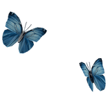 Hair Butterflies Behind [Blue]