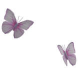 Hair Butterflies Behind [Pink]