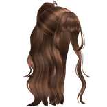 Half Up Half Down Curly Hair in Light Brown
