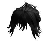 Half Up Half Down Hair Black