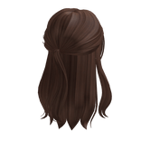 Half up half down hair w/ bangs in brown
