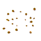 Halloween Candy Corn Aura