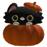 Halloween Kitty in Pumpkin