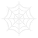  Halloween Spider Web Hair Clip (L) 🕸️