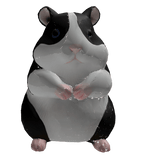 Hamster