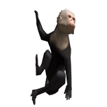 Hanging Monkey Companion