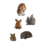 harajuku igari kei bunny stickers ♡ 