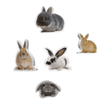 harajuku igari kei easter bunny stickers v2 ♡