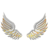 Harpy Wings White Golden Angel