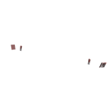 Hibiscus Flower Nails In Brown