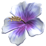 Hibiscus Summer Hair Flower