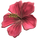 Hibiscus Summer Hair Flower