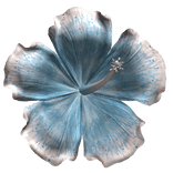 Hibiscus Tropical Summer Flower Blue and White