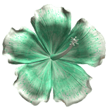 Hibiscus Tropical Summer Flower Teal Preppy