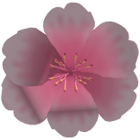 Holdable Flower (pink)