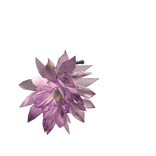 [Holdable] Lotus Blossom