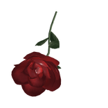 Holdable Valentine's Rose