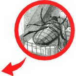Holy philosophy knowledge Circle Kafka