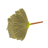 Householdbroom