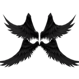 Huge Black Fallen Angel Wings👼