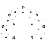 Huge Summer Hibiscus Aura Black