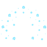 Huge Summer Hibiscus Aura Blue