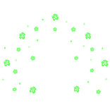 Huge Summer Hibiscus Aura Green