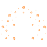 Huge Summer Hibiscus Aura Orange