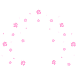 Huge Summer Hibiscus Aura Pink