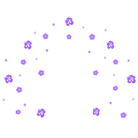 Huge Summer Hibiscus Aura Purple