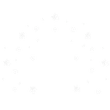 Huge Summer Hibiscus Aura White