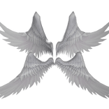 huge white angel wings