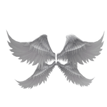 Huge White Angle Wings