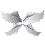 Huge White Angle Wings