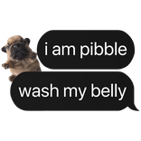 i am pibble wash belly text