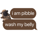 i am pibble wash belly text