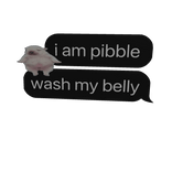 i am pibble wash my belly text