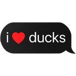 i heart ducks text