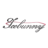 'Icebunny' Rhinestone Logo Belt | Pink