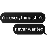 i'm everything she's never wanted text