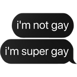i'm not gay i'm super gay text