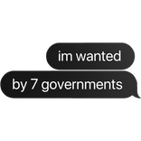 im wanted by 7 governments funny text bubble