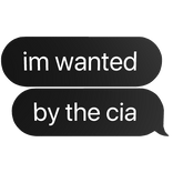im wanted by the cia funny text bubble