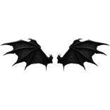 Immortal Shadow Wings