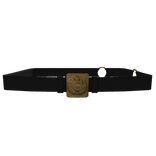 Imperial Brazilian Army M1866 Jäger Officer Belt