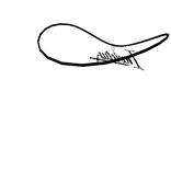 Invictus Dark