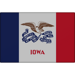 Iowa State Flag Pin