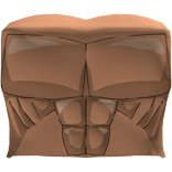 Ippo torso