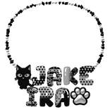 🤍 ︵jake & ira ɞ . 