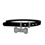 ^˵ ҂ ᆺ ᗜ˵^ jihan